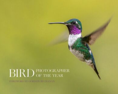 Bird Photographer of the Year