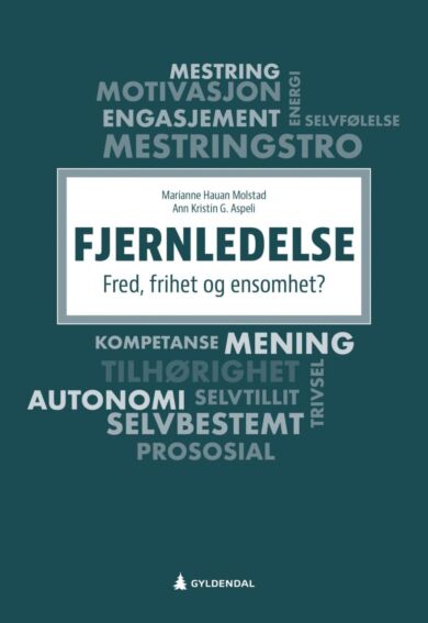 Fjernledelse