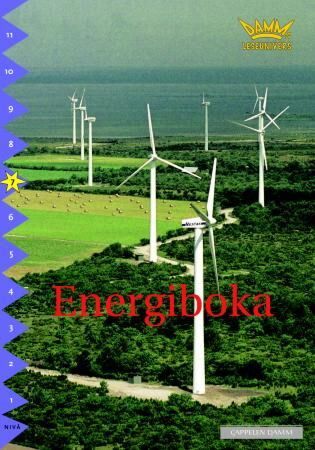 Energiboka