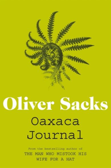 Oaxaca Journal