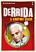 Introducing Derrida