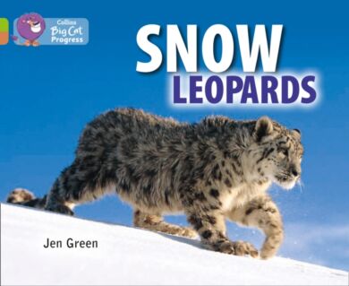 Snow Leopards