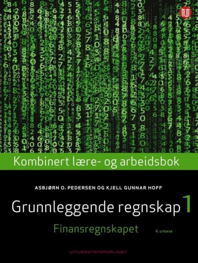 Grunnleggende regnskap 1