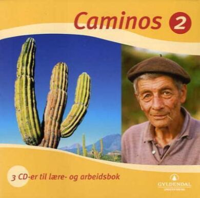 Caminos 2