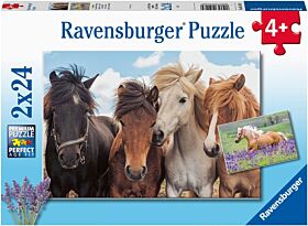 Puslespill 2X24 Hester Ravensburger