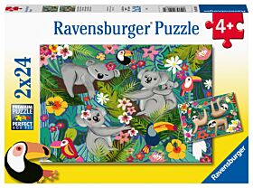 Puslespill 2x24 Koala Ravensburger