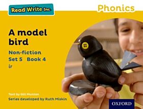 Read Write Inc. Phonics: A Model Bird (Yellow Set 5 Non-fiction 4)