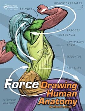 FORCE: Drawing Human Anatomy