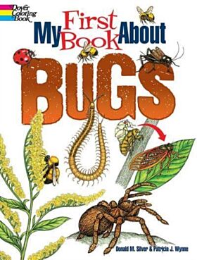 My First Book About Bugs