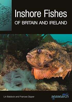 Inshore Fishes of Britain and Ireland