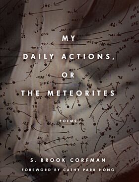 My Daily Actions, or The Meteorites