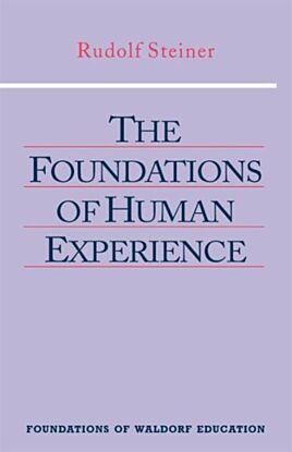 The Foundations of Human Experience