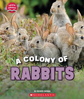 A Colony of Rabbits (Learn About: Animals)