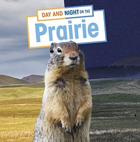 Day and Night on the Prairie