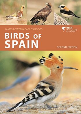 Birds of Spain