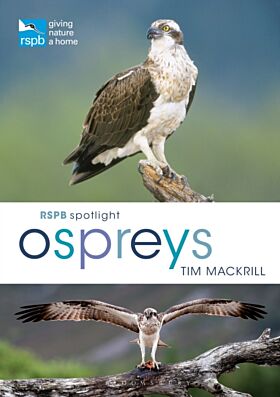 RSPB Spotlight Ospreys