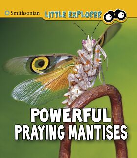 Powerful Praying Mantises