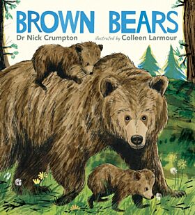 Brown Bears