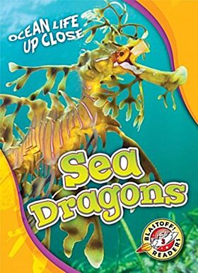 Sea Dragons