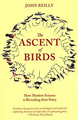 The Ascent of Birds