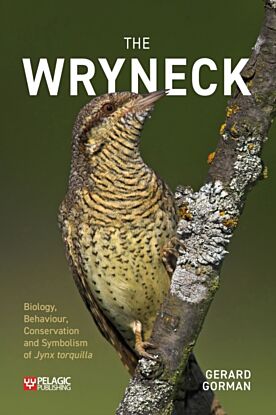 The Wryneck