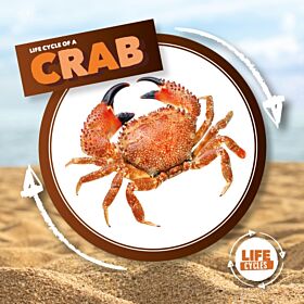 Crab