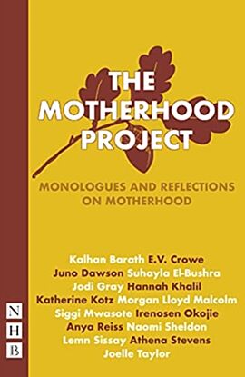 The Motherhood Project