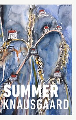 Summer (Seasons Quartet 4)