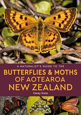 A Naturalist's Guide to the Butterflies & Moths of Aotearoa New Zealand