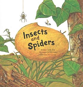 Insects and Spiders