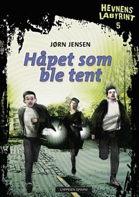 Håpet som ble tent