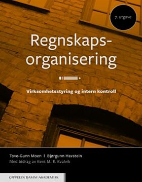 Regnskapsorganisering