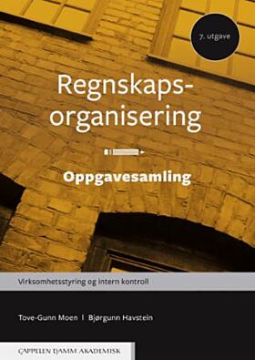 Regnskapsorganisering