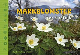 Markblomster for småfolk