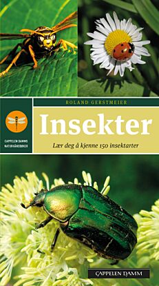 Insekter