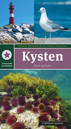 Kysten