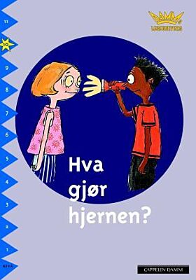 Hva gjør hjernen?