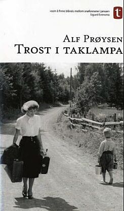 Trost i taklampa