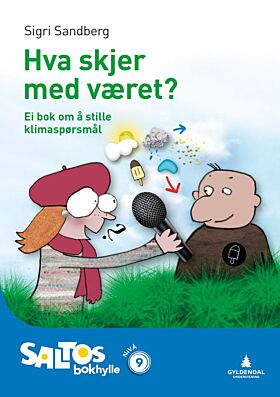 Kva skjer med vêret?