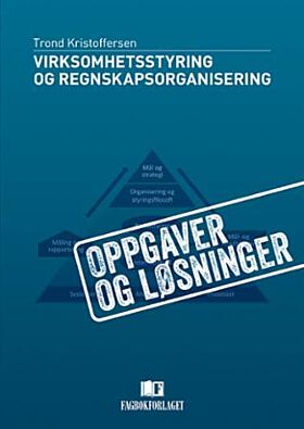 Virksomhetsstyring og regnskapsorganisering