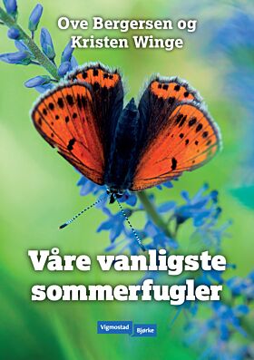 Våre vanligste sommerfugler