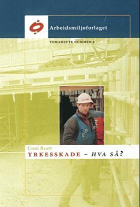 Yrkesskader - hva så?