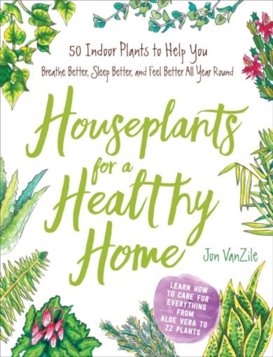 Houseplants for a Healthy Home