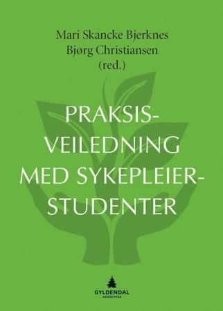 Praksisveiledning med sykepleiestudenter