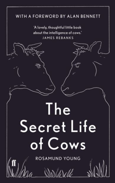 The secret life of cows