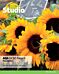 Studio AQA GCSE French Foundation Student Book