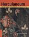 Herculaneum and the House of the Bicentenary