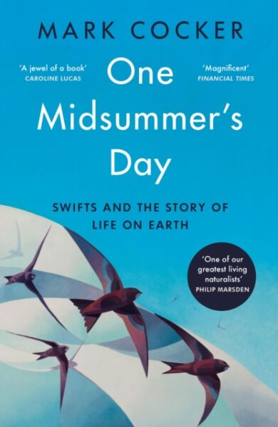 One Midsummer's Day