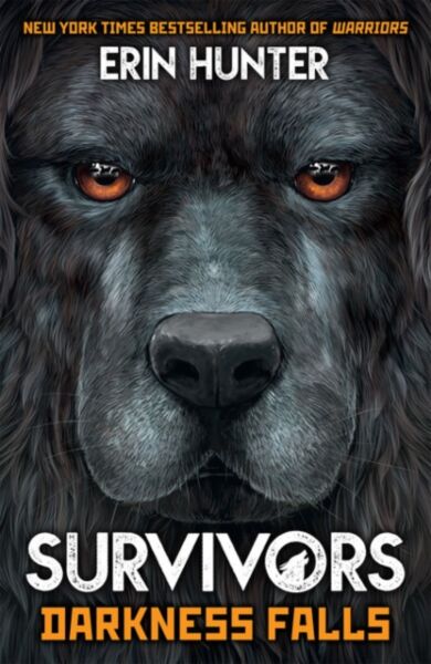 Survivors Book 3: Darkness Falls