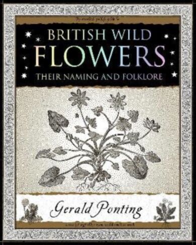 British Wild Flowers